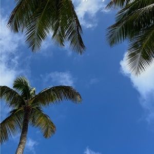 Meet your Posher, Lindsay